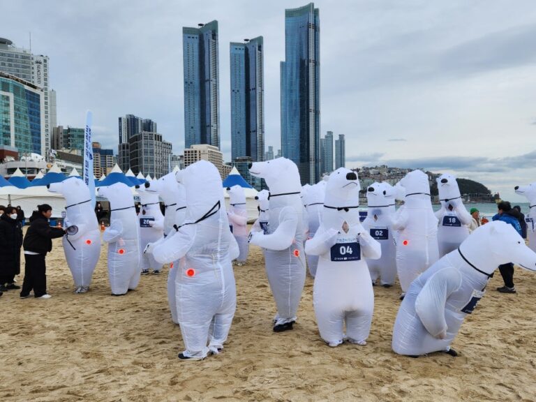 해운대 북극곰 축제(23년 12월)